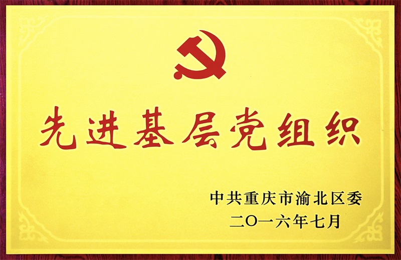 11-渝北區(qū)先進(jìn)基層黨組織.jpg